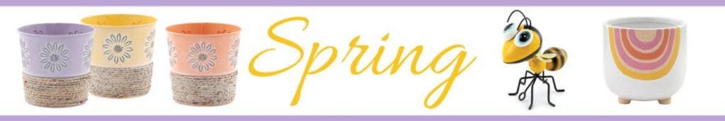 Spring Fever at Napco Imports