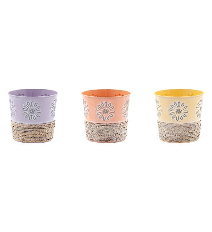 Napco Imports Spring Collection: colorful and bright planters
