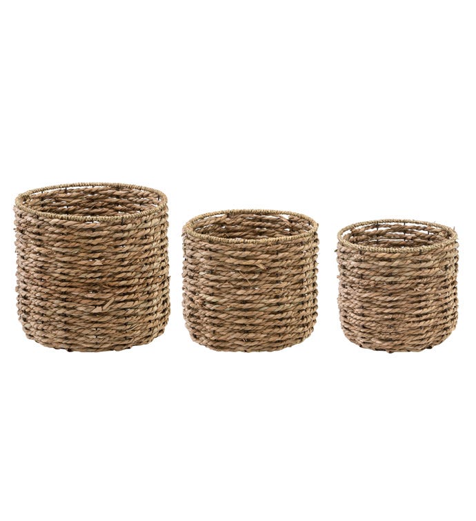 Straw Container Set
