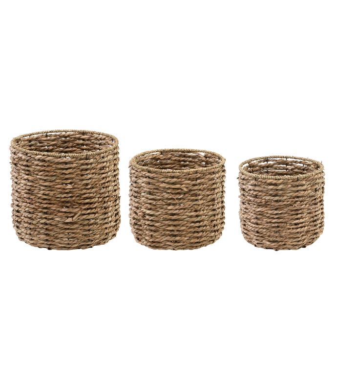 Straw Container Set