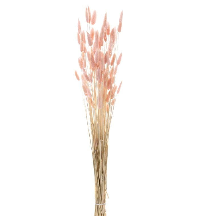 Dried Sawgrass Bundle SKU: 89006