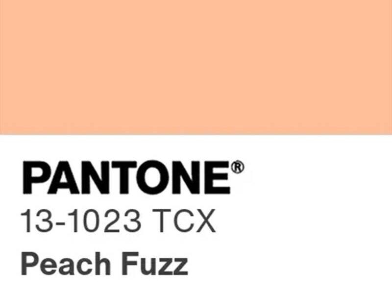 Peach Fuzz - Pantone's 2024 Color of the Year