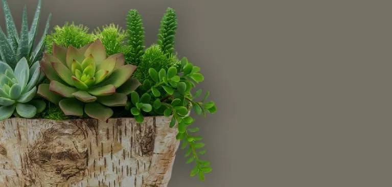 Experience Difference mobile