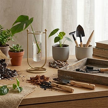 Propagation Stations