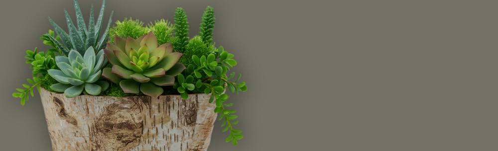 experience the napco difference